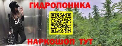 ПСИЛОЦИБИНОВЫЕ ГРИБЫ Абинск